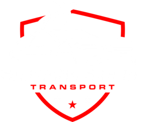 Safe and Secure Transport logo